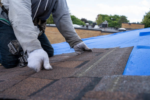 Best Gutter Installation and Roofing  in Long Beach, CA