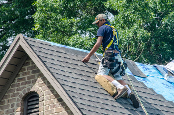 Best Shingle Roofing Installation  in Long Beach, CA